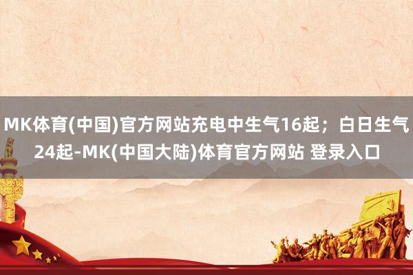MK体育(中国)官方网站充电中生气16起；白日生气24起-MK(中国大陆)体育官方网站 登录入口