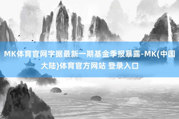 MK体育官网字据最新一期基金季报暴露-MK(中国大陆)体育官方网站 登录入口