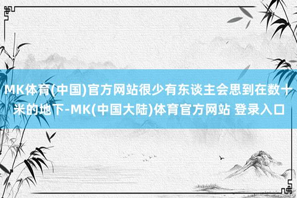 MK体育(中国)官方网站很少有东谈主会思到在数十米的地下-MK(中国大陆)体育官方网站 登录入口