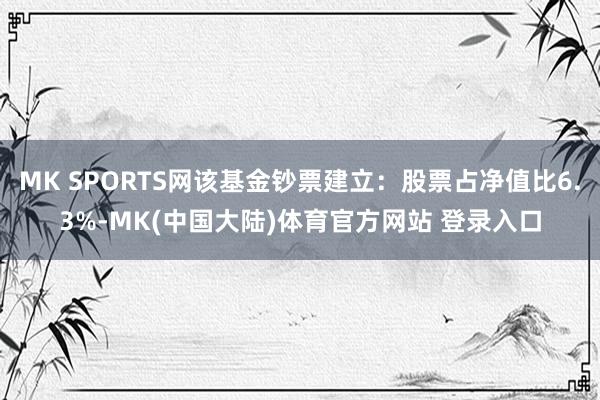 MK SPORTS网该基金钞票建立：股票占净值比6.3%-MK(中国大陆)体育官方网站 登录入口