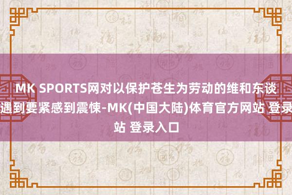 MK SPORTS网对以保护苍生为劳动的维和东谈主员遇到要紧感到震悚-MK(中国大陆)体育官方网站 登录入口
